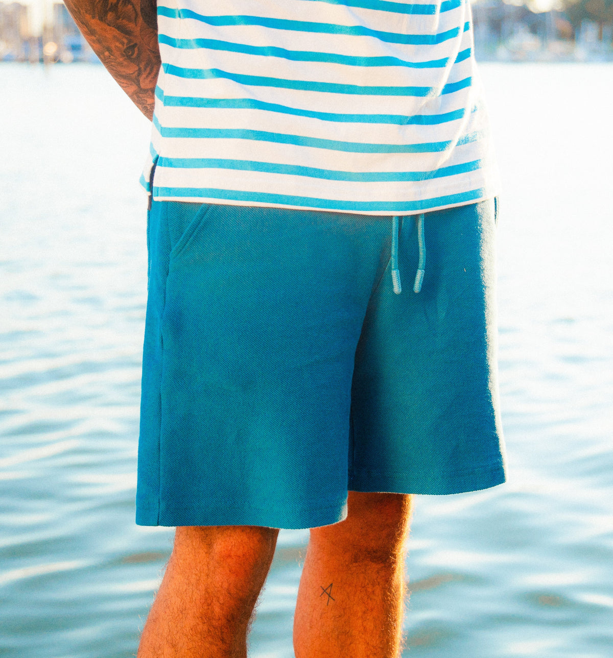 The Terry Short
