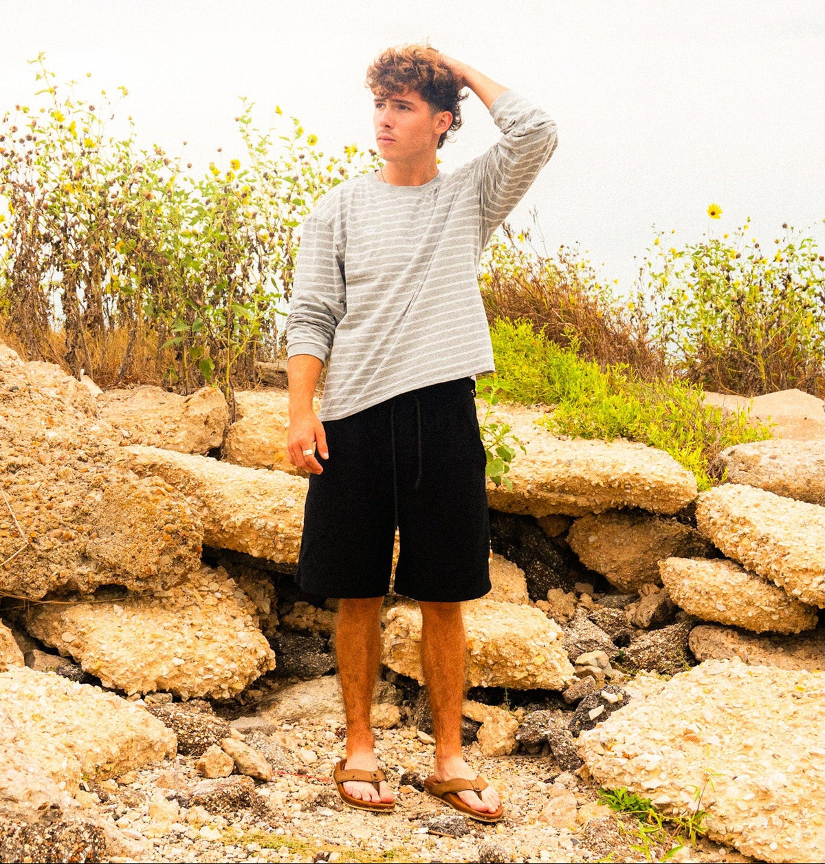 The Terry Short